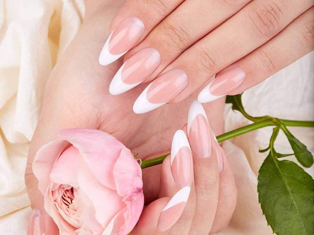 Hands with long artificial french manicured nails holding pink r